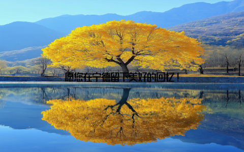 愿您在宁德留下美好的回忆!