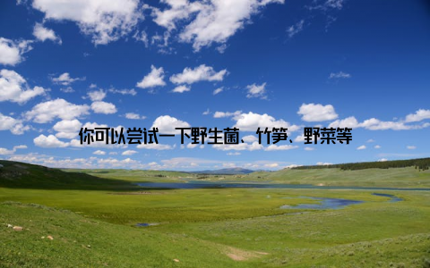 你可以尝试一下野生菌、竹笋、野菜等