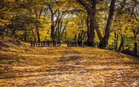 我在这里漫步, 品味着古城的夜色