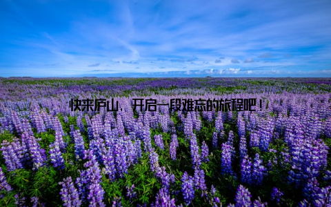 快来庐山, 开启一段难忘的旅程吧!