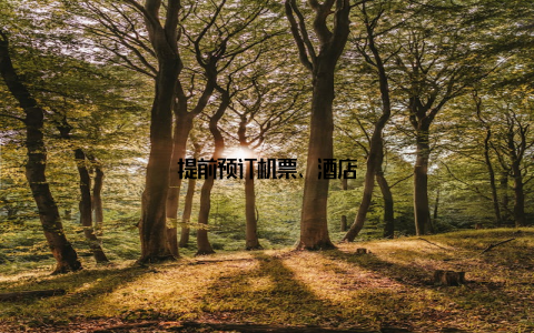 提前预订机票、酒店