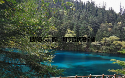 提前购买门票, 可享受优惠价格