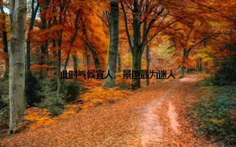 此时气候宜人, 景色最为迷人