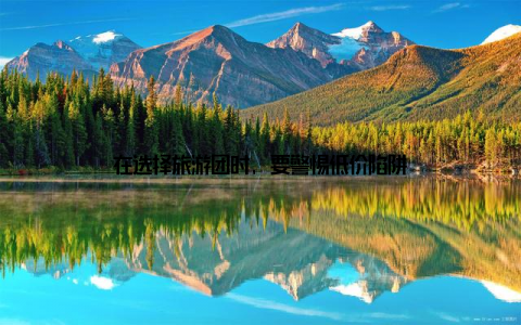 在选择旅游团时, 要警惕低价陷阱