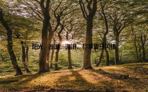 阳光、沙滩、海浪, 尽享夏日风情