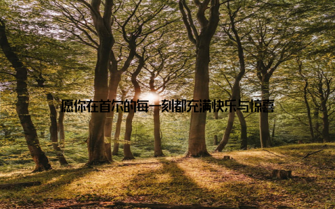 愿你在首尔的每一刻都充满快乐与惊喜