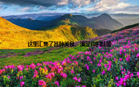 这里汇集了各种美食, 满足你的味蕾