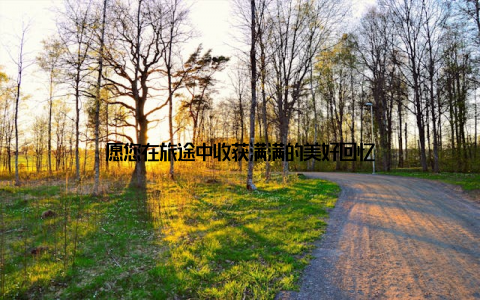 愿您在旅途中收获满满的美好回忆