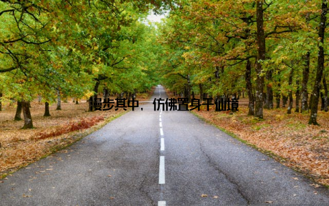 漫步其中, 仿佛置身于仙境