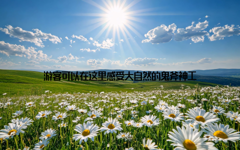 游客可以在这里感受大自然的鬼斧神工