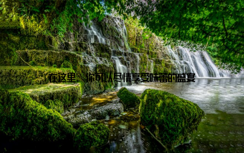 在这里, 你可以尽情享受味蕾的盛宴